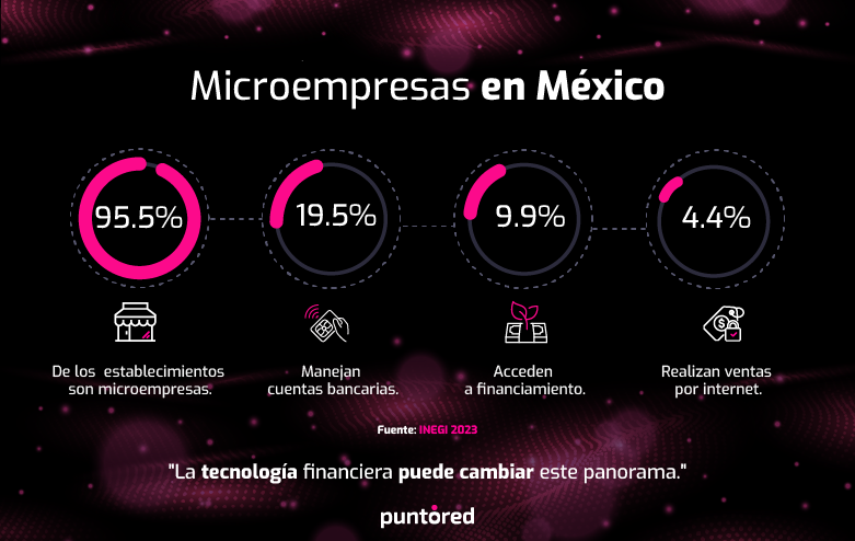 Infografía sobre digitalización para microempresas y su acceso limitado a servicios financieros y digitales
